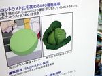  ad akibablog cabbage photo quality quality_cabbage sign translated 