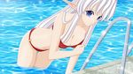  bikini elf swimsuit tagme 