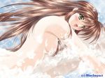  blush breasts brown_hair dutch_angle game_cg green_eyes haga_kazane long_hair nude showering smile soap_bubbles solo watermark working_days yamamoto_kazue 