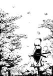  greyscale hitodama konpaku_youmu konpaku_youmu_(ghost) monochrome nekoita sheath solo touhou tree 