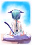  animal_ears artist_request blue_hair bottomless braid cat_ears cat_tail from_behind hyper_police kneeling long_hair off_shoulder panties pillow purple_panties sasahara_natsuki_(hyper_police) see-through single_braid solo tail underwear 