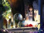  alphonse_(white_datura) black_hair breasts bug butterfly copyright_request dress garden insect lolita_fashion long_hair nature plant small_breasts solo wallpaper watermark 