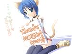  animal_ears cat_ears holding holding_sign kiryuu_masumi original sign solo tail thighhighs 