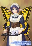  2007 copyright_request fairy genshi long_sleeves maid new_year pointy_ears solo wings 