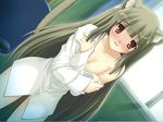  animal_ears blush breasts cat_ears cat_tail cleavage covering dress_shirt game_cg grey_hair hime_(neko_no_hime) long_hair long_sleeves medium_breasts neko_no_hime off_shoulder open_clothes open_shirt orange_eyes shirt solo sweat tail very_long_hair yameta_takashi 