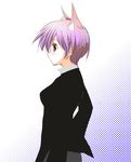  animal_ears cat_ears formal long_sleeves nanakagi_satoshi original purple_eyes purple_hair short_hair solo suit 