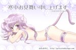 animal_ears cat_ears copyright_request flat_chest garters lingerie lying mika_mikan panties solo tail topless underwear 