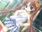  blue_eyes blush brown_hair game_cg kobuichi minato_kao muririn shouyon!_kodomo_challenge skirt solo standing striped striped_legwear thighhighs twintails 