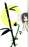  animal_ears bamboo black_hair bunny_ears carrot_necklace crescent_moon dress finger_to_mouth inaba_tewi looking_at_viewer moon nasubi peeking_out red_eyes short_hair short_sleeves simple_background sketch solo touhou white_background 