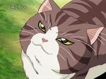 animal cat cat_focus clock clockshow futari_wa_precure_splash_star no_humans precure screencap 