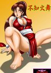  barefoot breasts ero_shocker fatal_fury feet large_breasts nipples non-web_source pelvic_curtain revealing_clothes shiranui_mai snk solo the_king_of_fighters toes 