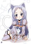  ahoge animal_ears ayase_yue bell blush braid cat_ears cat_tail hair_bell hair_ornament kemonomimi_mode long_hair mahou_sensei_negima! mayuge_inu purple_eyes purple_hair solo tail thighhighs twin_braids 