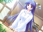  blue_hair blush canvas_2 game_cg long_hair misaki_sumire nanao_naru red_eyes shirt solo 