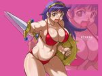  athena_(series) bikini breasts fang huge_breasts plump princess_athena shield snk solo swimsuit sword wallpaper weapon zoom_layer 