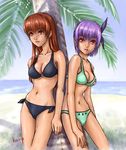  ayane_(doa) beach bikini day dead_or_alive face ha-ru kasumi_(doa) multiple_girls nekoi_mie outdoors siblings side-tie_bikini sisters swimsuit 