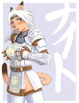  animal_ears cat_ears final_fantasy final_fantasy_xi lowres md5_mismatch mithra mutsukaze paladin_(final_fantasy) solo thighhighs 