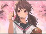  cherry_blossoms seifuku tagme 