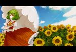  flowers green_hair kazami_yuuka red_eyes short_hair skirt sky touhou umbrella 