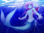  07-ghost fins mermaid tagme 