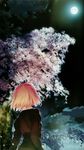  blonde_hair cherry_blossoms full_moon kyoto moon night original sky solo takeuchi_takashi tree 