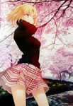  blonde_hair cherry_blossoms green_eyes kyoto original pullover skirt solo takeuchi_takashi tree 