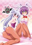 animal_ears ass bat blue_hair blush breasts bunny_ears bunny_tail bunnysuit flat_chest frost_auslese legs long_hair magical_halloween medium_breasts multiple_girls noir_auslese pantyhose pointy_ears pony_r purple_hair red_eyes short_hair silver_hair small_breasts tail twintails yellow_eyes 