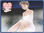 bare_shoulders blush breasts brown_hair cleavage clenched_teeth eyes_closed female konno_mitsune legs legs_crossed love_hina nature nude onsen outdoors short_hair sitting sky smile solo steam teeth thighs towel 