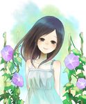  bad_id bad_pixiv_id bare_shoulders black_eyes black_hair dress flower head_tilt long_hair morning_glory shinohara_natsuki smile solo summer_wars sundress wind yumi_(tuzisaka) 