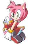  aku_tojyo amy_rose furry hammer pose posing sonic sonic_the_hedgehog tojyo 