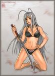  ahoge big_breasts bikini breasts large_breasts long_hair lowres natsume_maya swimsuit sword tenjou_tenge weapon 
