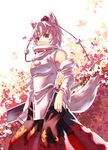  animal_ears detached_sleeves hat inubashiri_momiji leaf maple_leaf md5_mismatch red_eyes short_hair silver_hair solo sukocchi sword tail tokin_hat touhou weapon wolf_ears wolf_tail 
