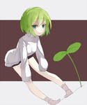  :&lt; bad_id bad_pixiv_id bent_over copyright_request green_eyes green_hair jitome nekomegane plant short_shorts shorts simple_background solo sweater 
