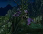  feet giantess girl_on_top gts macro night_elf toes warcraft 