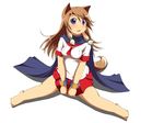  animal_ears aq_interactive arcana_heart arcana_heart_2 atlus blush examu inuwaka_akane mirano school_uniform tail 