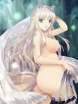  :o animal_ears ass blonde_hair breasts fox_ears fox_tail green_eyes highres knife large_breasts long_hair looking_back lorna_(shining_hearts) nipples nude open_mouth shining_(series) shining_hearts solo tail yoshimura_kentaro 