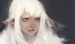  blurry depth_of_field highres keun_ju_kim long_hair original pointy_ears portrait silver_eyes solo white_hair 