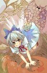  bad_id bad_pixiv_id blue_eyes bow cirno edanaka_(abcm) fairy food fruit grapes grin hair_bow ice nature persimmon short_hair smile solo touhou wings 