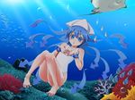  bad_id bad_pixiv_id barefoot blue_eyes blue_hair coral hat highres ikamusume long_hair makoto_(xtruth) one-piece_swimsuit seahorse shinryaku!_ikamusume solo stingray swimsuit tentacle_hair toes underwater 