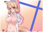  animal_ears blonde_hair breasts dress_shirt fox_ears fox_tail heriwo_(haraheridou) medium_breasts multiple_tails navel nipples no_bra open_clothes open_shirt shirt short_hair solo tail touhou upper_body yakumo_ran yellow_eyes 