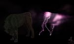  animal eyes feral fur glowy lightning male mammal paws shadowwolf sheath solo tail wolf 