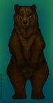  2010 bear cunningfox female feral non-anthro solo 