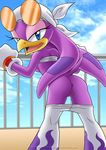  anus avian bird female from_behind glasses looking_at_viewer mobian mobius_unleashed pants purple pussy sega sky smile solo sonic_(series) standing swallow tail wave_the_swallow 