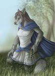  anthro canine cloak female mammal outside rukis solo wolf 