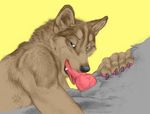  blotch canine canine_penis fellatio heterochromia norse-mischief oral oral_sex penis recolor sex wolf 