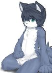  blue_hair blush cub cute exposed hair kneeling kurokiri kurokiririri male nipples nude penis plain_background sitting solo uncut white_background young 