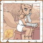  bandage canine dress female fox mammal mariano oekaki solo 