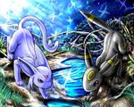  blue butterfly espeon grass markings pok&eacute;mon red_eyes shine tail umbreon unknown_artist water yellow 
