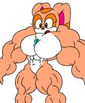 biceps big_breasts big_muscles blue_eyes breasts brown_eyes chao couple cream_the_rabbit extreme_muscles female furry giantess hyper hyper_muscles muscle muscles muscular muscular_female navel nude plain_background sega sonic_(series) sonic_the_hedgehog surprised what white_background 