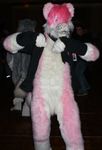  dog fur fursuit hair hi_res humor leather lol male mammal pink pink_fur pink_hair pose solo unknown_artist 