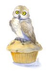  avian bird cute feral food muffin non-anthro owl plain_background shinigamigirl solo white_background 
